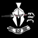 Task Force 383