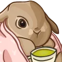 Feli's Art, Content & Emotes