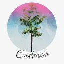 Everbrush Entertainment Extravaganza
