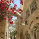 SSC (1956-1985) Discord Server Icon