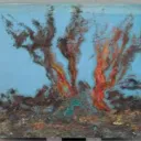 Figures and shapes Discord Server Icon