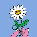 Paperhand Capital
