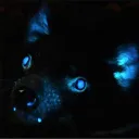 Tazzydevil's