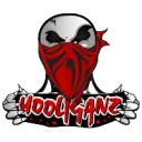 Hooli Guild M2