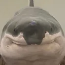 Server icon