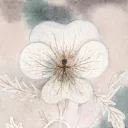 calmsector Discord Server Icon