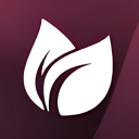 Exeter Primary School | VC Discord Server Icon