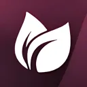 Exeter Primary School | VC Discord Server Icon