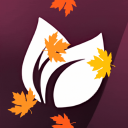 Exeter Primary School | VC    Discord Server Icon