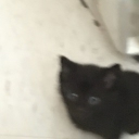 Eri Discord server icon