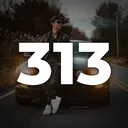 313