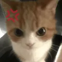 kuro's Discord Server Icon