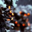 Village in the Rain Discord Server Icon