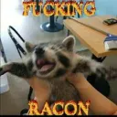 racon picta