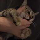 MURRRRAAAAA