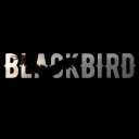 BLACKBIRD RP
