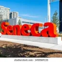 Business-marketing Seneca