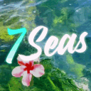 🌊 ｡: 7Seas ™ || Social • Chill  • Fun • Giveaways