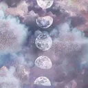 ☽ moon • parlor ☾