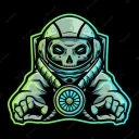 THE SKULL PIRATES