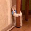 วา
