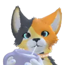 KhnFuCat meow~