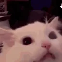 𝐏𝐫𝐢𝐯𝐚𝐭𝐞 | 𝐒𝐞𝐥
