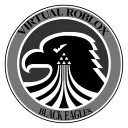 Virtual Roblox Black Eagles