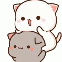 Animes & Cats's icon