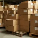 Box's Kingdom