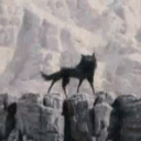 Pizzadawg's Wolfpack Discord Server Icon