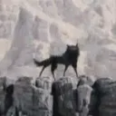 Pizzadawg's Wolfpack