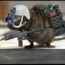 rat-club Server Icon
