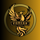 Forces Gaming