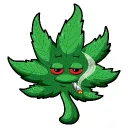 I see wat you sayn
