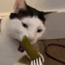 Rock Bottom Discord Server Icon