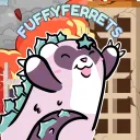 FuffyFerrets