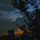 Dusk Fires • ꜱᴏᴄɪᴀʟ