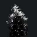   White Walls   Discord Server Icon