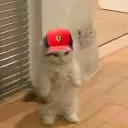 Catalyst Discord Server Icon