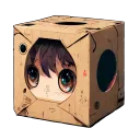 Anime in box