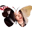 Kazuha Bot