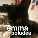 emma's weird place