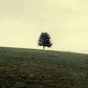 HackAndSlash Coop/Online's icon