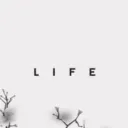 life's Portfolio