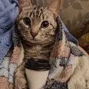 Сервер ArtemMakarov Discord server icon