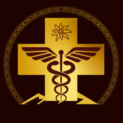 Discovery icon for Swiss International™ Hospital Discord server