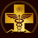 Discovery icon for Swiss International™ Hospital Discord server