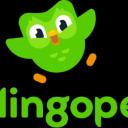 Duolingopedia