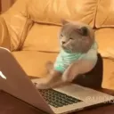 くるみんさーばー
